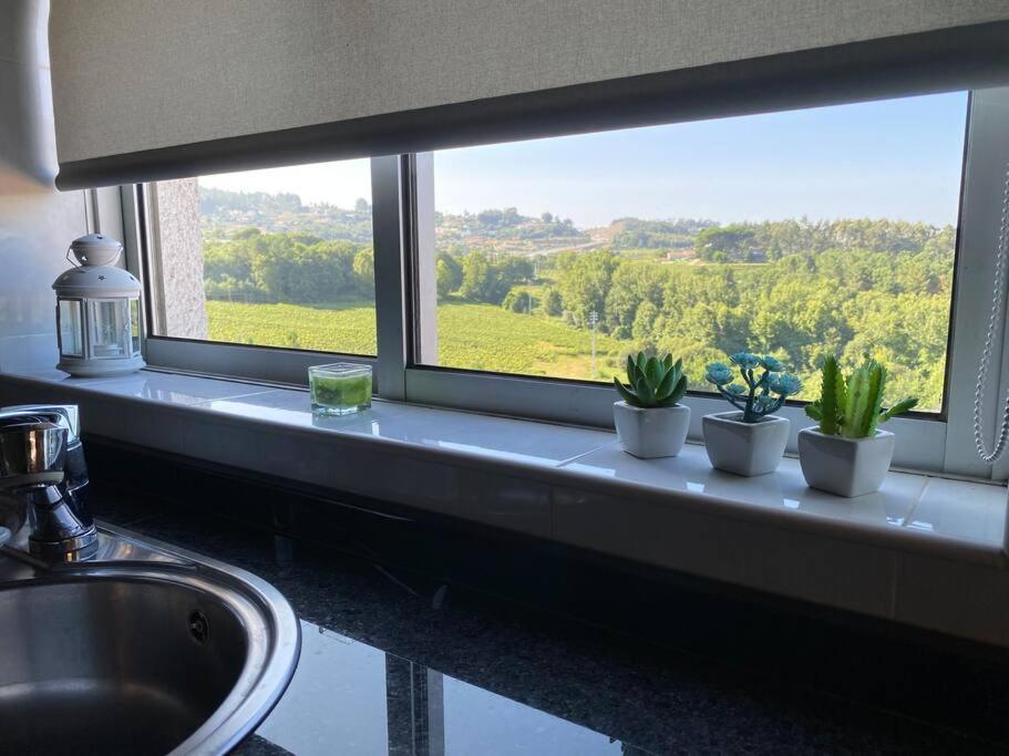 S. Mamede House - Penafiel Lägenhet Recezinhos Exteriör bild
